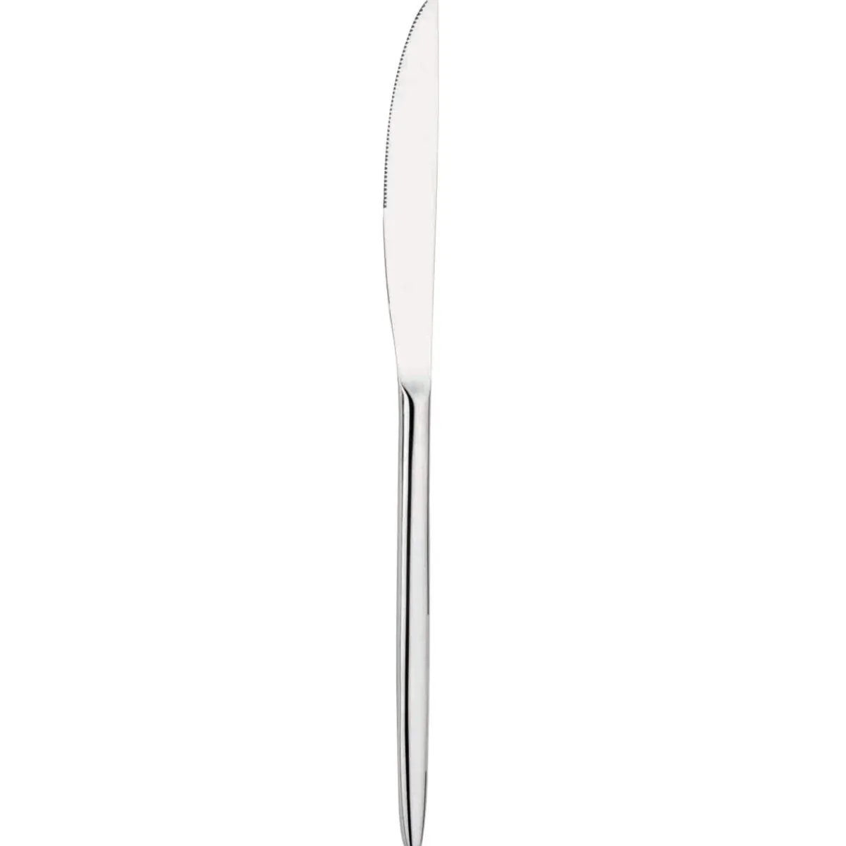Couteau de table monobloc 24,5 cm Livio - PRO.MUNDI Clearance
