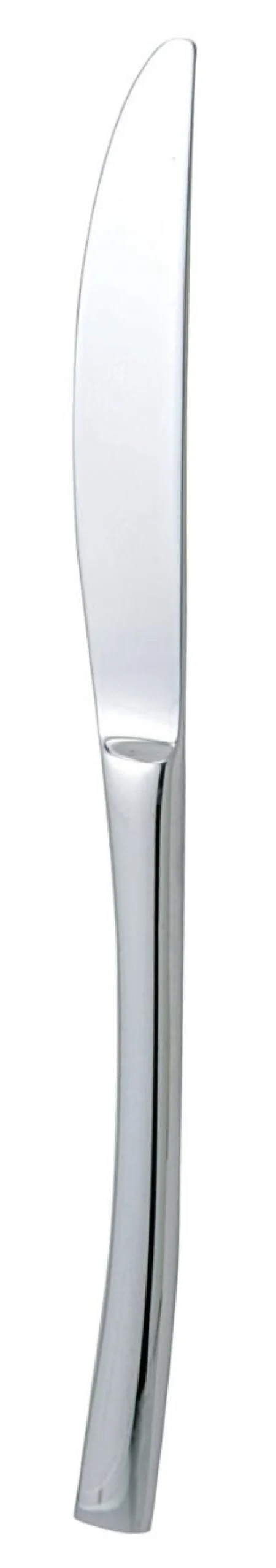 Couteau de table monobloc cranté 22,5 cm Style 180 - PRO.MUNDI Sale