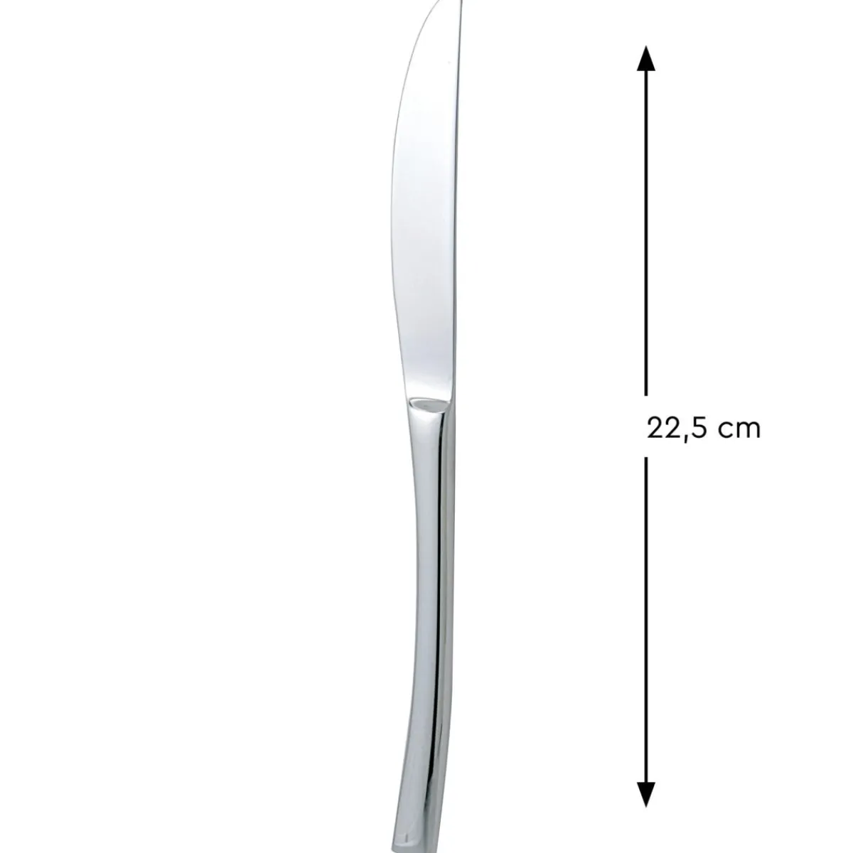 Couteau de table monobloc cranté 22,5 cm Style 180 - PRO.MUNDI Sale