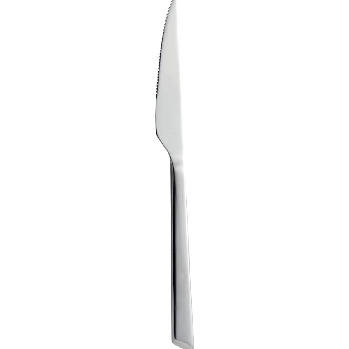 Couteau de table monobloc cranté 23,3 cm Aztek - PRO.MUNDI Outlet