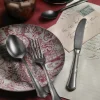 PINTINOX Couteau de table monobloc noir 22,7 cm Settecento Sale