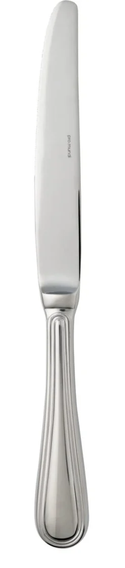 Couteau de table monocoque 24 cm Harmony - PRO.MUNDI Sale