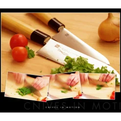 HAIKU Couteau sashimi 21 cm acier bois unie New