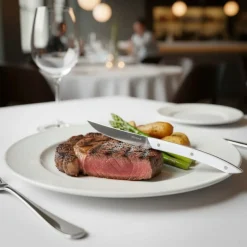 PRO.MUNDI Couteau à steak blanc 24x1,9x1,5 cm Takura Best