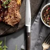 TARRERIAS BONJEAN Couteau à steak marron 23 cm Expression  