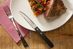 PRO.MUNDI Couteau à steak noir 21 cm Elite Best
