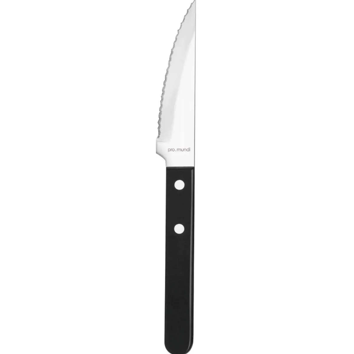 Couteau à steak noir 24,7 cm Tenor - PRO.MUNDI Hot