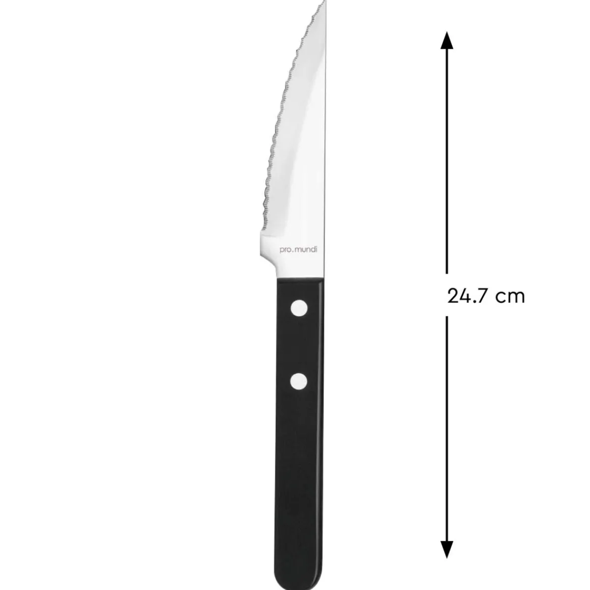 Couteau à steak noir 24,7 cm Tenor - PRO.MUNDI Hot