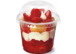 ALPHAFORM Couvercle dôme rond transparent Ø 7,6 cm (100 pièces) Discount
