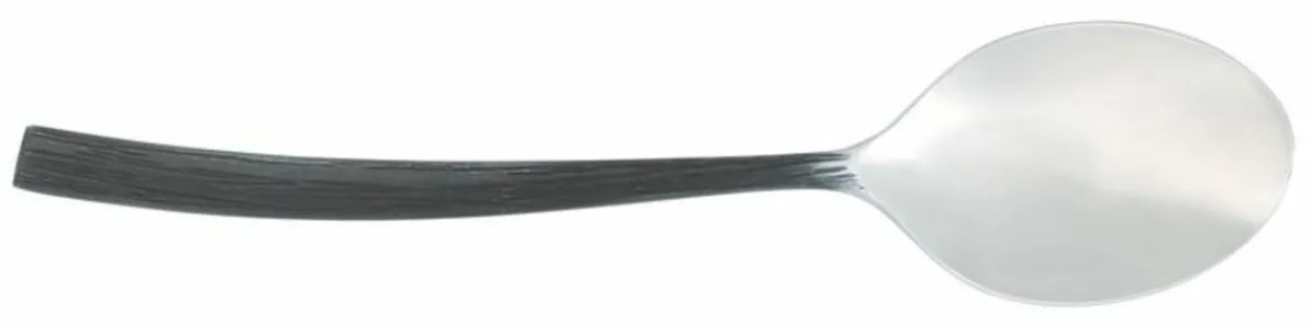 CHEF & SOMMELIER Cuillère à café argent inox 18/10 14x2,95x1,55 cm Blackoak Clearance