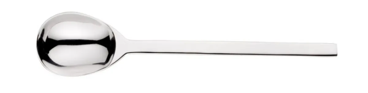 PINTINOX Cuillère à café inox 18/0 16 cm Agricola New