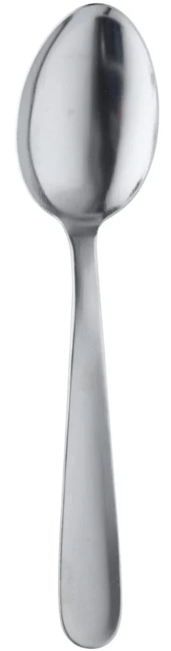 AMEFA Cuillère de service inox 18/0 24,5 cm Eco Couvert Discount