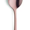 Cuillère à dessert cuivre inox 18/0 18,5 cm Austin Pvd Cuivre - AMEFA Discount