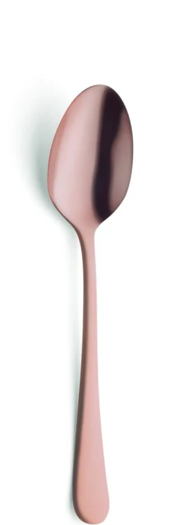 Cuillère à dessert cuivre inox 18/0 18,5 cm Austin Pvd Cuivre - AMEFA Discount