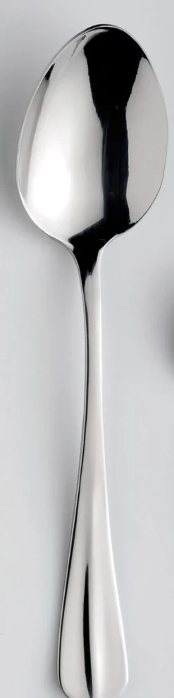 ETERNUM Cuillère à dessert inox 18/0 18 cm Ecobaguette Outlet