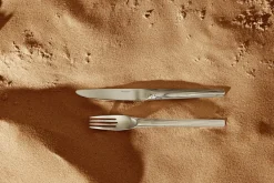 Cuillère à dessert inox 18/10 18,9 cm Rivage - DEGRENNE Hot