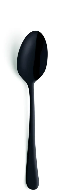 Cuillère à dessert noir inox 18/0 18,5 cm Austin Pvd Black - AMEFA
