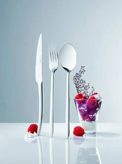 Cuillère de table inox 18/10 20,5 cm Alaska - ETERNUM Clearance