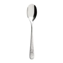Cuillère de table inox 18/10 20 cm Aquatic Supernature - DEGRENNE Clearance