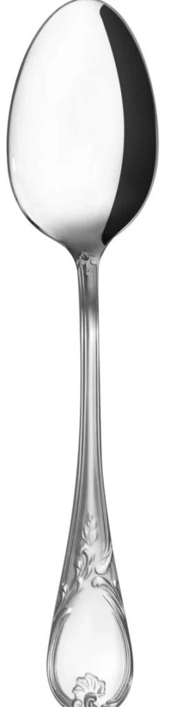 DEGRENNE Cuillère de table inox 18/10 20,8 cm Marquise