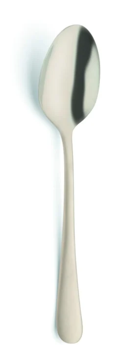 Cuillère de table or inox 18/0 20,5x4,2 cm Austin Pvd Champagne - AMEFA New