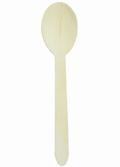EARTH ESSENTIALS Cuillère (100 pièces) Clearance