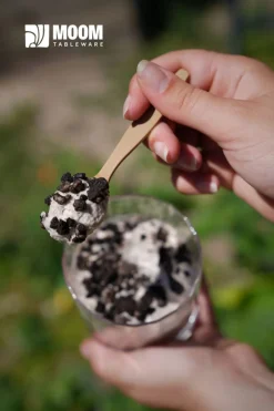 Cuillère à glace bagasse 9,5 cm (400 pièces) - Moom Tableware Sale