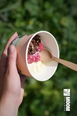 Cuillère à glace bagasse 9,5 cm (400 pièces) - Moom Tableware Sale