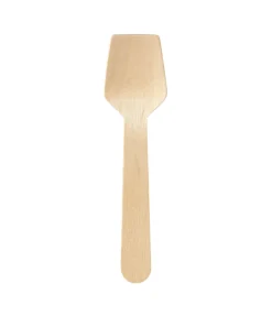 Cuillère à glace 9,5 cm (100 pièces) - DUNI Discount