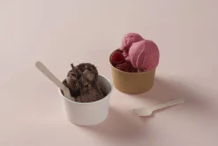 Cuillère à glace 9,5 cm (100 pièces) - DUNI Discount