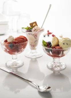 PRO.MUNDI Cuillère à glace inox 18/0 22,7 cm Best
