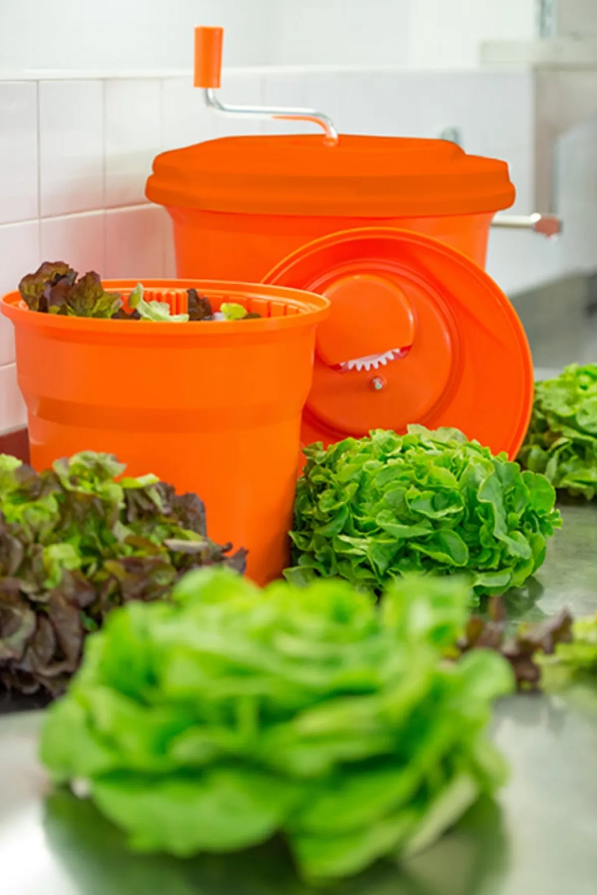 DYNAMIC Essoreuse à salade plastique Ø 27,5 cm 34,2 cm 5 L Online
