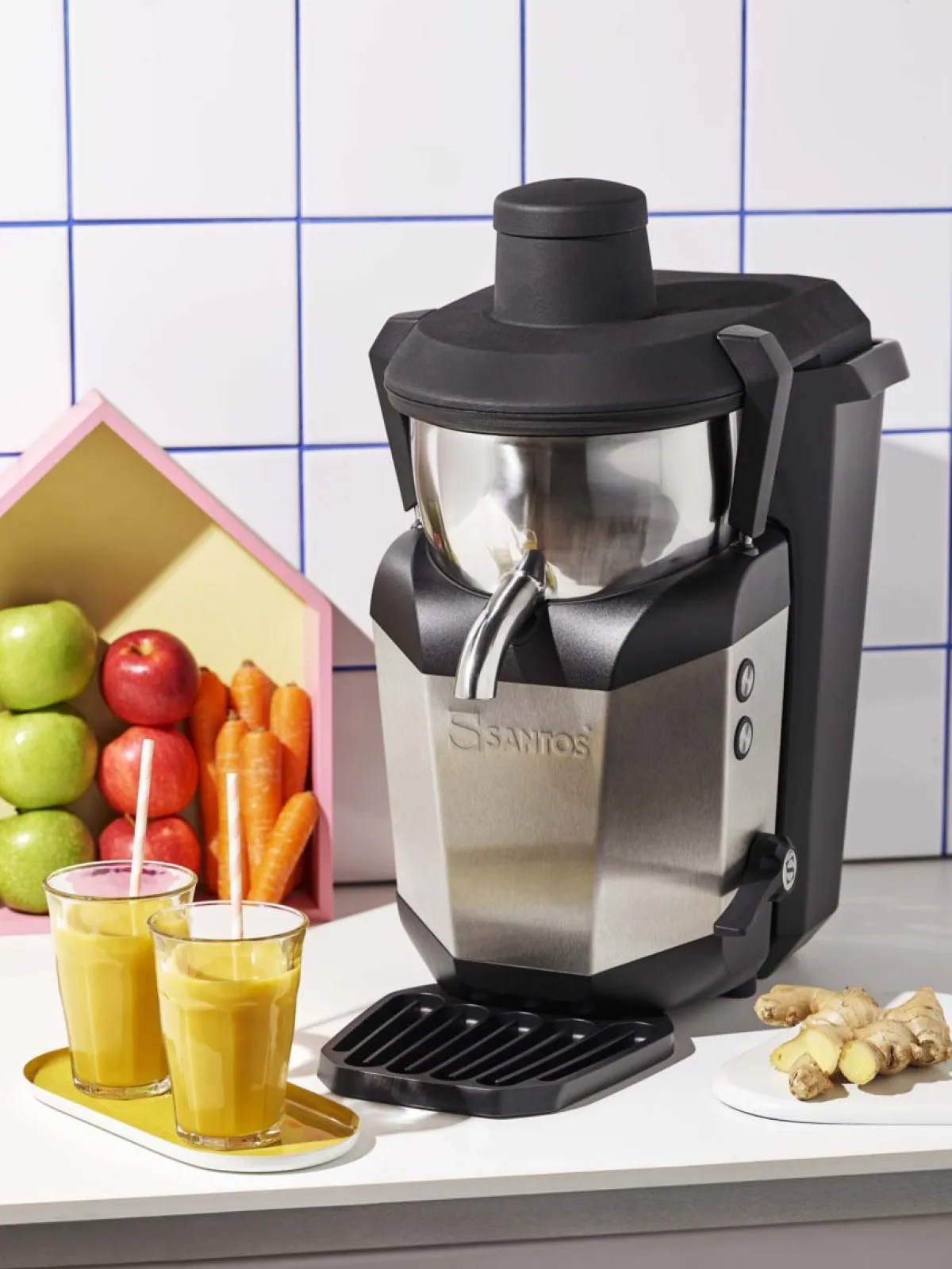 SANTOS Extracteur à jus gris 120 L/h Sale