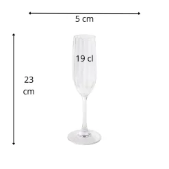Flûte tritan 19 cl Perfection - APS Discount