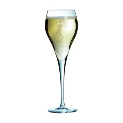 ARCOROC Flûte verre 16 cl Brio Best