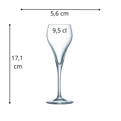 ARCOROC Flûte verre 9,5 cl Brio Hot