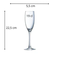 Flûte verre 19 cl Vina - ARCOROC