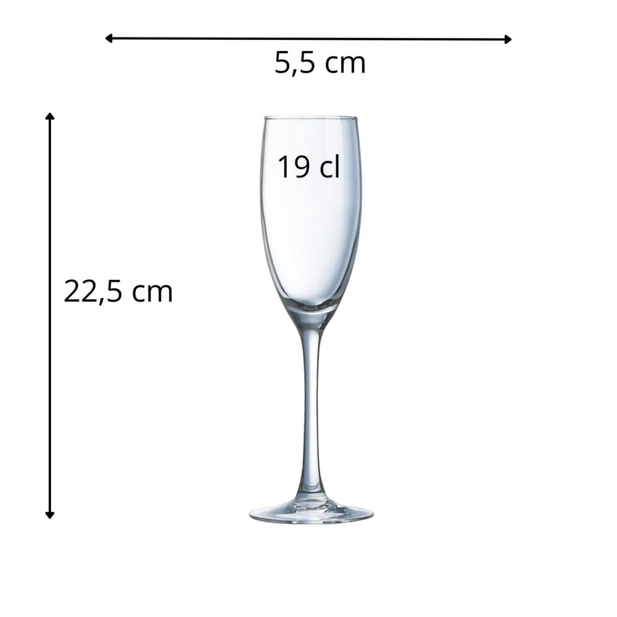 Flûte verre 19 cl Vina - ARCOROC