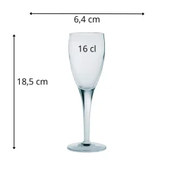 Flûte verre cristallin 16 cl Michelangelo - LUIGI BORMIOLI Discount