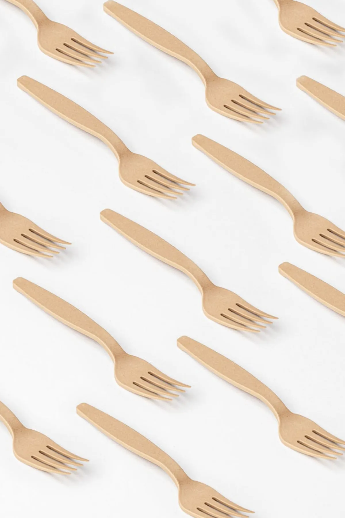 Fourchette bagasse 16 cm (200 pièces) - Moom Tableware Hot