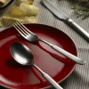 PINTINOX Fourchette de table inox 18/10 19,5 cm Casali Stoned Sale