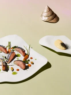 Gobelet porcelaine 30 cl Oceancook - COOKPLAY Sale