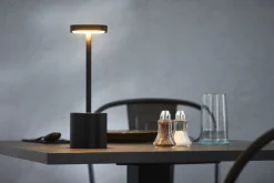 Lampe à led noir 26 cm Swan 2 - PRO.MUNDI Best