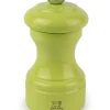 PEUGEOT SAVEURS Moulin à sel droit vert 10 cm Bistro Hot