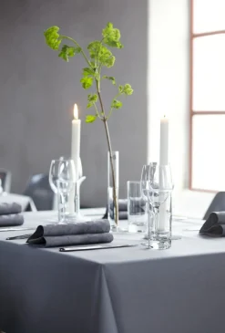 DUNI Nappe gris non tissé 110x110 cm Evolin (50 pièces) Discount