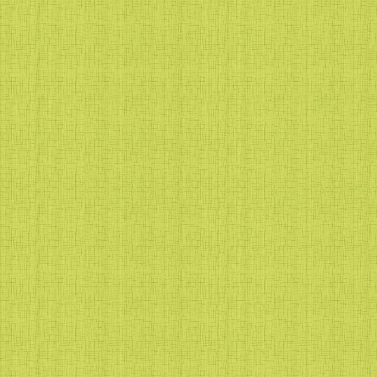 DUNI Nappe vert non tissé 84x84 cm silk (100 pièces) New