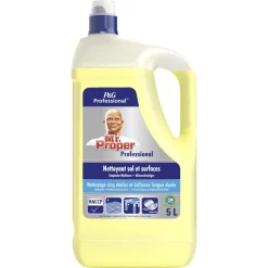 Nettoyant multi-surfaces 5 L (5 pièces) - MR PROPRE Discount