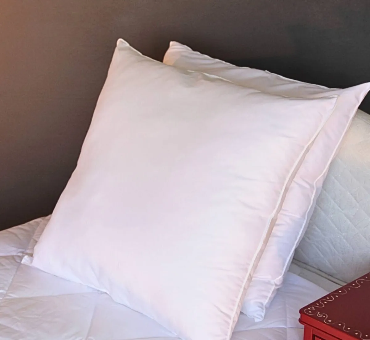 EDONA Oreiller carré blanc 60 cm 650 g/m² polyester Hot