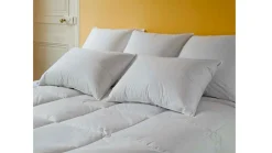 EDONA Oreiller carré 60 cm coton Confort Absolu New