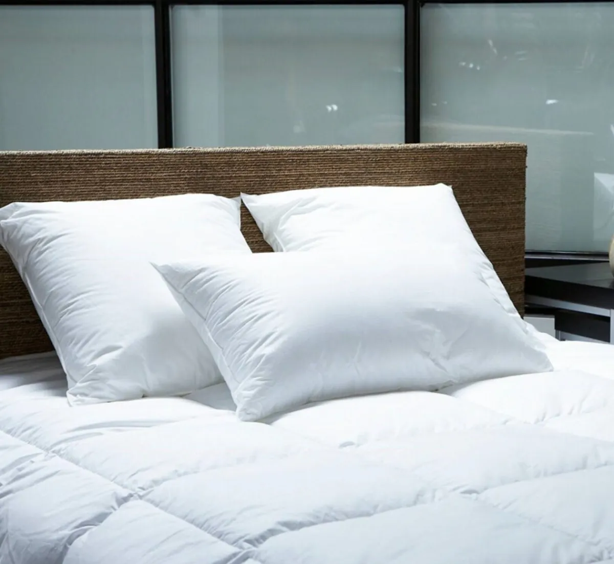 EDONA Oreiller rectangulaire blanc 70x45 cm 400 g/m² microfibre Best